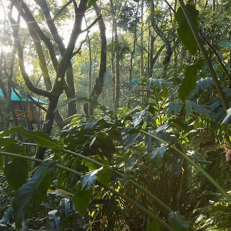 Dream Catcher Resort Munnar Dış mekan fotoğraf