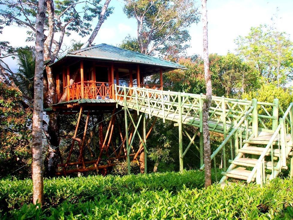 Dream Catcher Resort Munnar Dış mekan fotoğraf