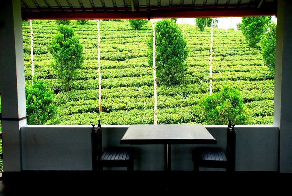 Dream Catcher Resort Munnar Dış mekan fotoğraf