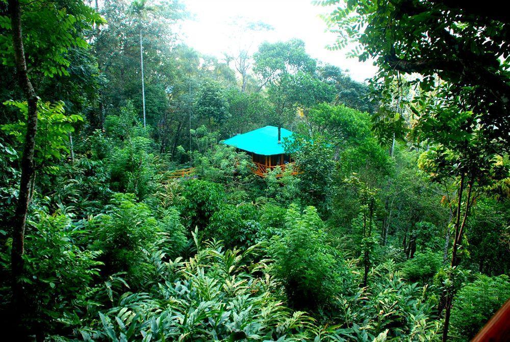 Dream Catcher Resort Munnar Dış mekan fotoğraf
