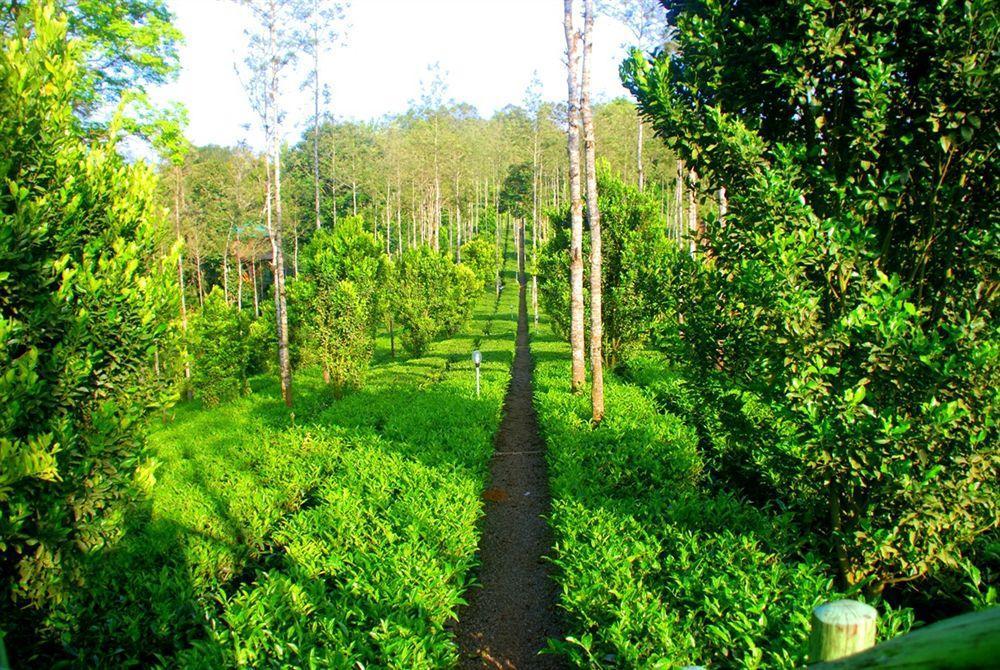 Dream Catcher Resort Munnar Dış mekan fotoğraf