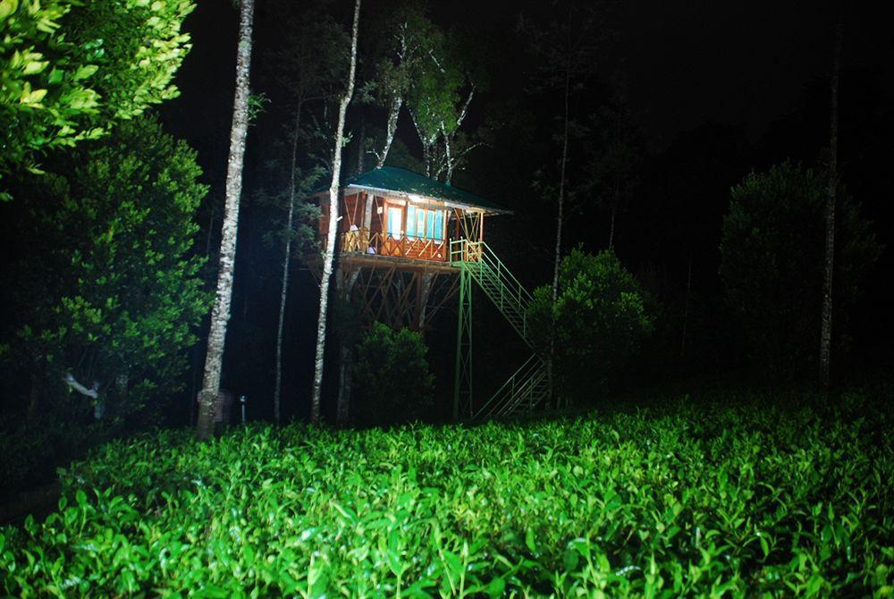 Dream Catcher Resort Munnar Dış mekan fotoğraf