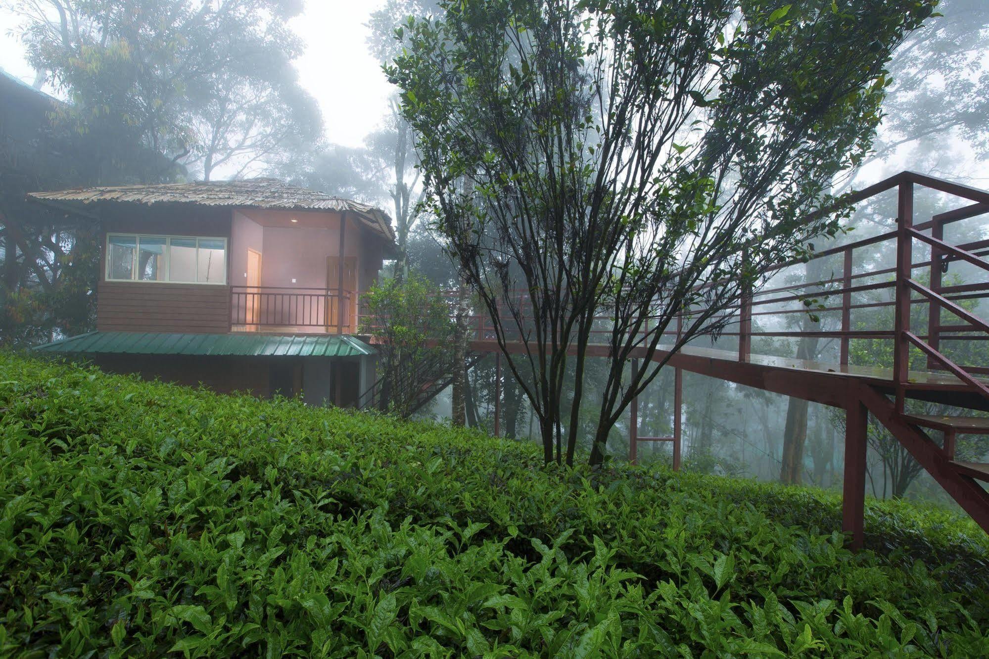 Dream Catcher Resort Munnar Dış mekan fotoğraf